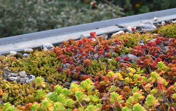 the cost of Eriswell green roof installation